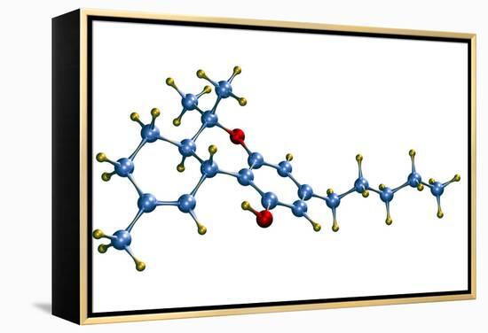 THC Cannabis Drug Molecule-Dr. Mark J.-Framed Premier Image Canvas