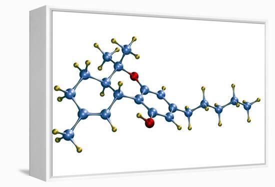 THC Cannabis Drug Molecule-Dr. Mark J.-Framed Premier Image Canvas