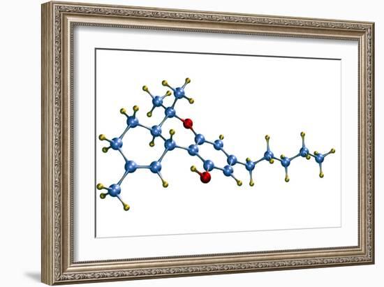 THC Cannabis Drug Molecule-Dr. Mark J.-Framed Photographic Print