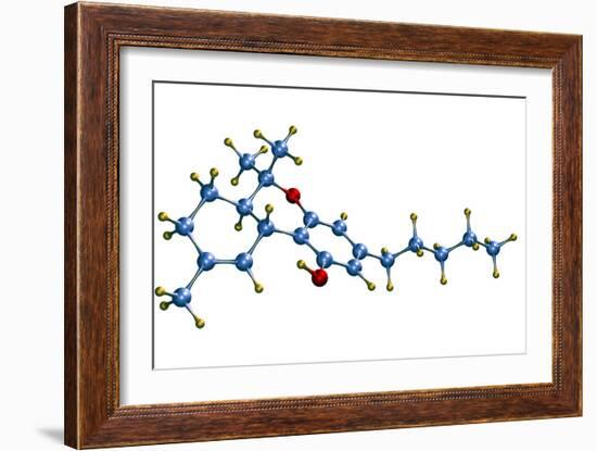 THC Cannabis Drug Molecule-Dr. Mark J.-Framed Photographic Print