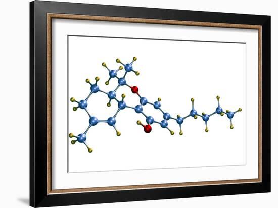 THC Cannabis Drug Molecule-Dr. Mark J.-Framed Photographic Print