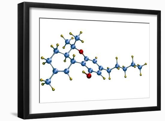 THC Cannabis Drug Molecule-Dr. Mark J.-Framed Photographic Print