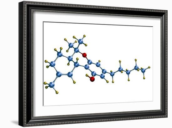 THC Cannabis Drug Molecule-Dr. Mark J.-Framed Photographic Print