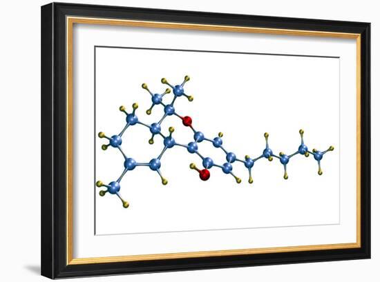 THC Cannabis Drug Molecule-Dr. Mark J.-Framed Photographic Print