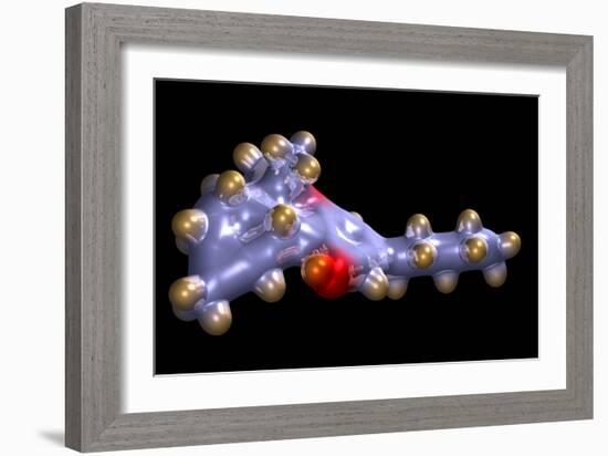 THC Cannabis Drug Molecule-Dr. Mark J.-Framed Photographic Print