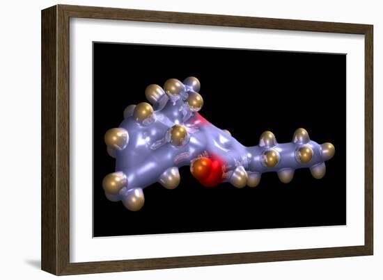 THC Cannabis Drug Molecule-Dr. Mark J.-Framed Photographic Print