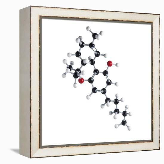 THC Drug Molecule-Science Photo Library-Framed Premier Image Canvas