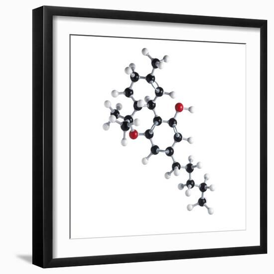 THC Drug Molecule-Science Photo Library-Framed Premium Photographic Print