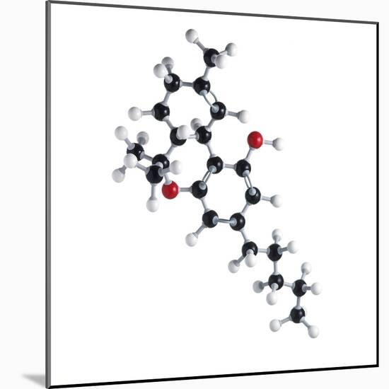 THC Drug Molecule-Science Photo Library-Mounted Premium Photographic Print