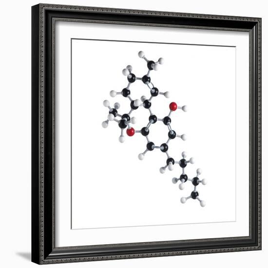 THC Drug Molecule-Science Photo Library-Framed Premium Photographic Print