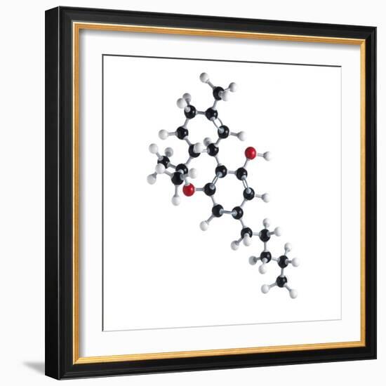 THC Drug Molecule-Science Photo Library-Framed Premium Photographic Print