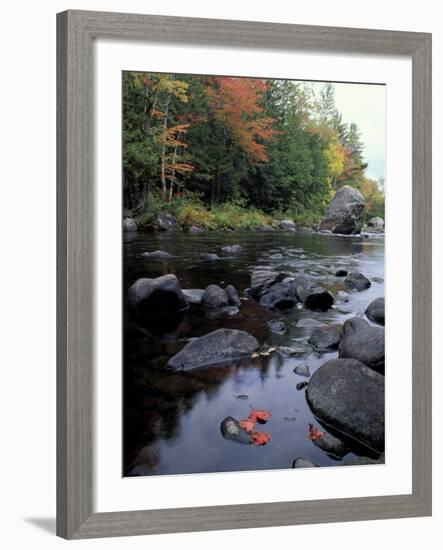 The 100 Mile Wilderness section of the Appalachian Trail, Maine, USA-Jerry & Marcy Monkman-Framed Photographic Print