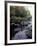 The 100 Mile Wilderness section of the Appalachian Trail, Maine, USA-Jerry & Marcy Monkman-Framed Photographic Print