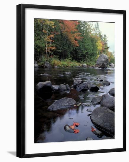 The 100 Mile Wilderness section of the Appalachian Trail, Maine, USA-Jerry & Marcy Monkman-Framed Photographic Print