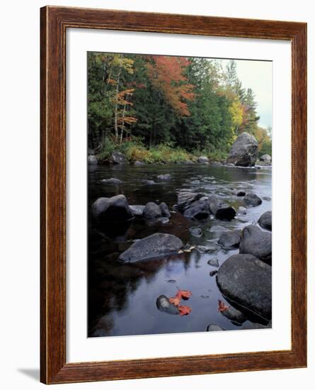 The 100 Mile Wilderness section of the Appalachian Trail, Maine, USA-Jerry & Marcy Monkman-Framed Photographic Print