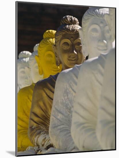 The 106 Pieces of Cemented Buddha Statue at Wat Pangbua, Thailand-Alain Evrard-Mounted Photographic Print