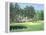 The 11th At Augusta-White Dogwood-Bernard Willington-Framed Stretched Canvas