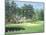 The 11th At Augusta-White Dogwood-Bernard Willington-Mounted Art Print