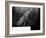 The 1956 Hungarian Uprising-null-Framed Photo