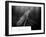 The 1956 Hungarian Uprising-null-Framed Photo