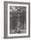 The 2 Morandini's (Equilibristes sur perche et échelle)-null-Framed Giclee Print