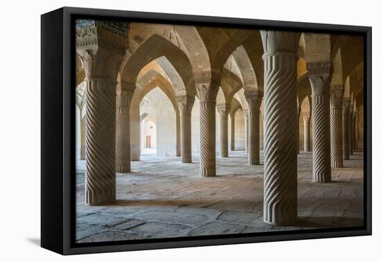 The 48 carved column prayer hall, Masjed-e Vakil (Regent's Mosque), Shiraz, Iran, Middle East-James Strachan-Framed Premier Image Canvas