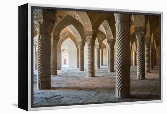 The 48 carved column prayer hall, Masjed-e Vakil (Regent's Mosque), Shiraz, Iran, Middle East-James Strachan-Framed Premier Image Canvas