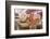 The 66M Reclining Buddha at Chauk Htat Gyi (Chaukhtatgyi) Buddha Temple, Myanmar (Burma)-Matthew Williams-Ellis-Framed Photographic Print