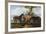 The 6th Duke's Favourite Hunters and Dogs, 1857-John E. Ferneley-Framed Giclee Print