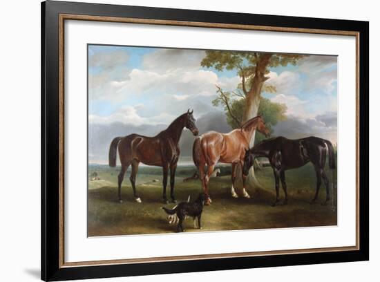 The 6th Duke's Favourite Hunters and Dogs, 1857-John E. Ferneley-Framed Giclee Print