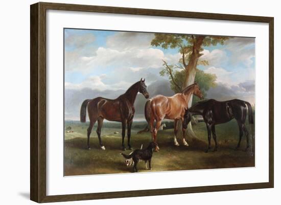 The 6th Duke's Favourite Hunters and Dogs, 1857-John E. Ferneley-Framed Giclee Print