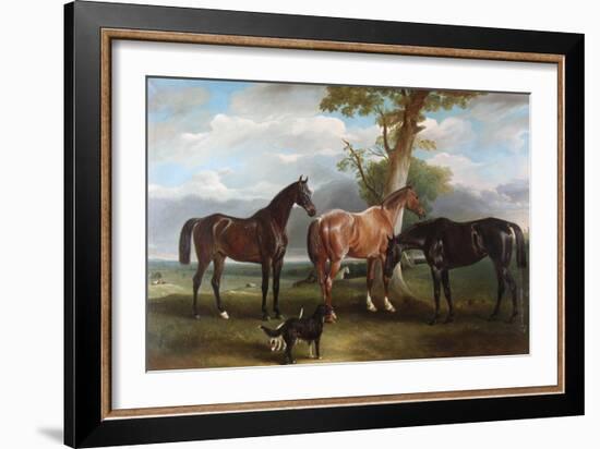 The 6th Duke's Favourite Hunters and Dogs, 1857-John E. Ferneley-Framed Giclee Print