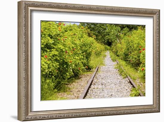 The Abandoned Railroad-david734244-Framed Photographic Print