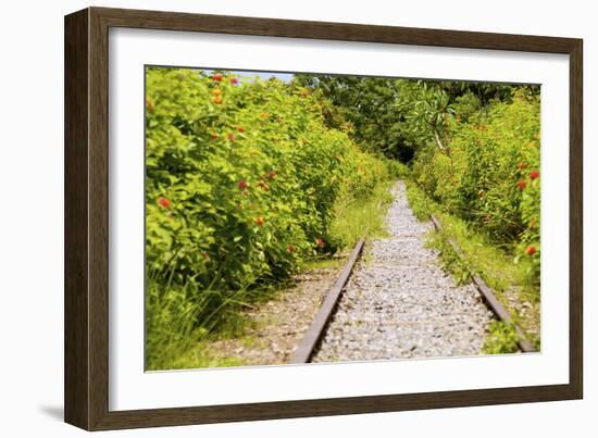 The Abandoned Railroad-david734244-Framed Photographic Print