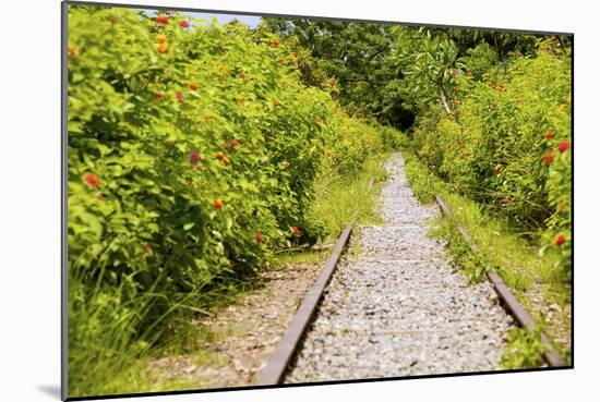 The Abandoned Railroad-david734244-Mounted Photographic Print
