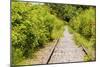 The Abandoned Railroad-david734244-Mounted Photographic Print