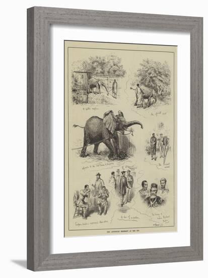 The Abyssinian Elephant at the Zoo-null-Framed Giclee Print