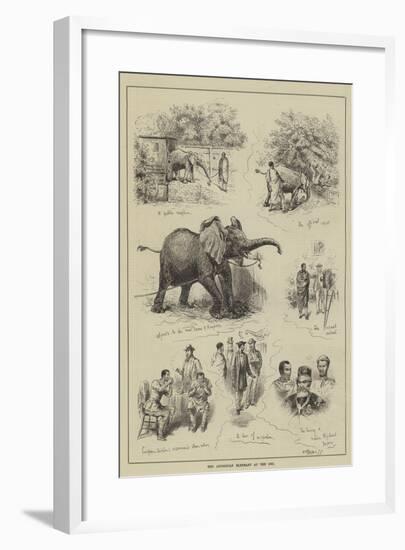 The Abyssinian Elephant at the Zoo-null-Framed Giclee Print