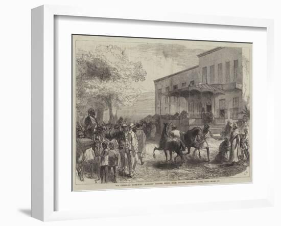 The Abyssinian Expedition, Transport Officers Buying Mules Opposite Shepheard's Hotel, Cairo-Charles Robinson-Framed Giclee Print