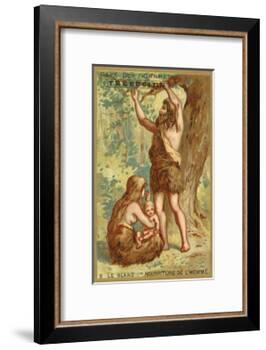 The Acorn, Man's First Food-null-Framed Giclee Print