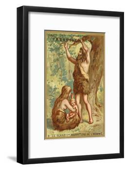 The Acorn, Man's First Food-null-Framed Giclee Print