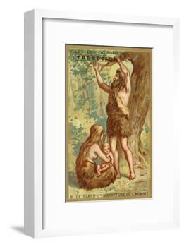 The Acorn, Man's First Food-null-Framed Giclee Print