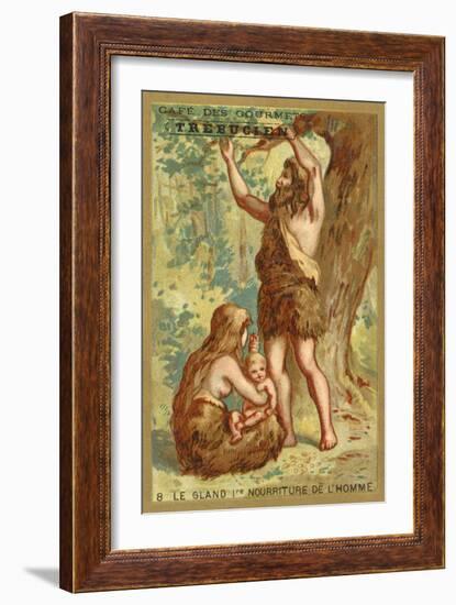 The Acorn, Man's First Food-null-Framed Giclee Print