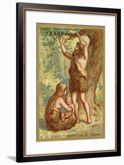 The Acorn, Man's First Food-null-Framed Giclee Print