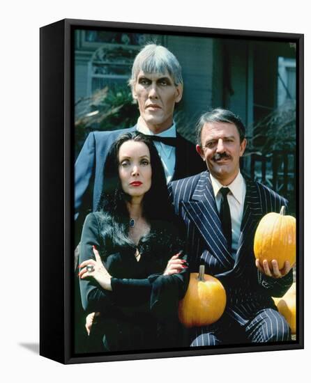 The Addams Family (1964)-null-Framed Stretched Canvas