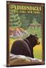 The Adirondacks - Long Lake, New York State - Black Bear in Forest-Lantern Press-Mounted Art Print