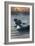 The Adirondacks, New York State - Loons at Sunset-Lantern Press-Framed Art Print