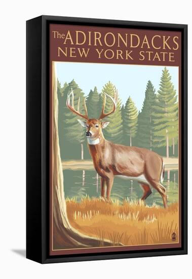 The Adirondacks, New York State - White Tailed Deer Buck-Lantern Press-Framed Stretched Canvas