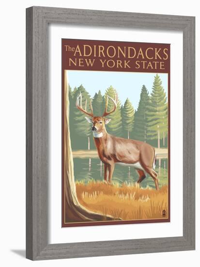 The Adirondacks, New York State - White Tailed Deer Buck-Lantern Press-Framed Art Print