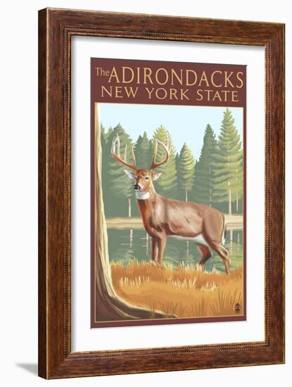 The Adirondacks, New York State - White Tailed Deer Buck-Lantern Press-Framed Art Print